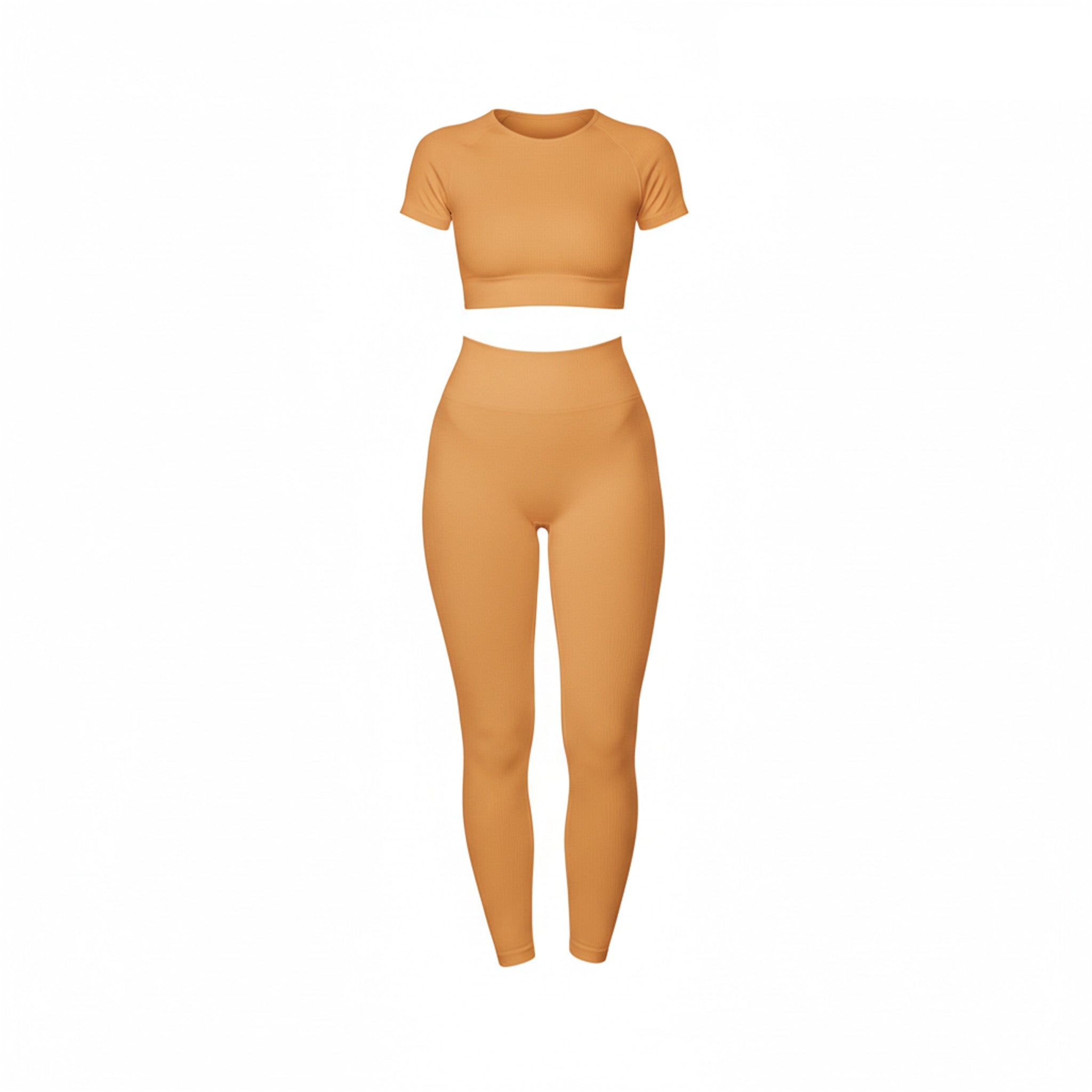 ELISE™️ Sculpt Set (Crop Top & Leggings)